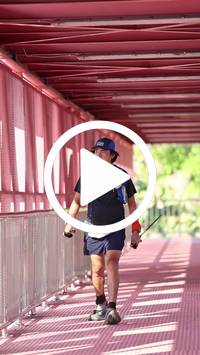 BIB:  <button type="button" onclick="openModal(27438188)" class="btn btn-primary btn-sm float-right" data-toggle="modal" data-target=".modal-high-quality">
                <i class="fa fa-download"></i> Download
                </button>